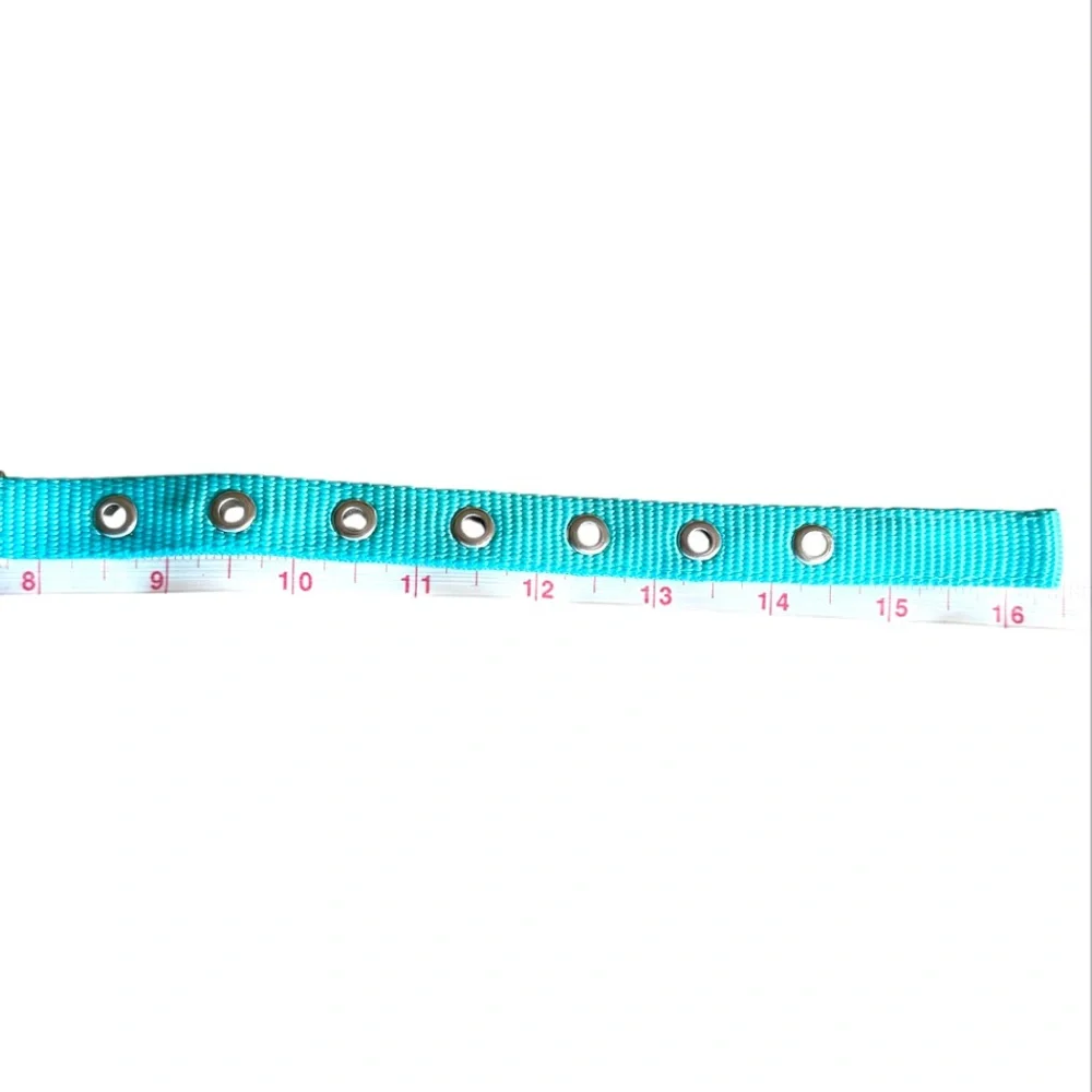 NWOT Padded Adjustable Small Teal Blue Green Dog Collar Bone Shape Enamel Buckle